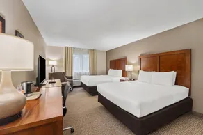 Comfort Inn Fort Myers Northeast - Værelse