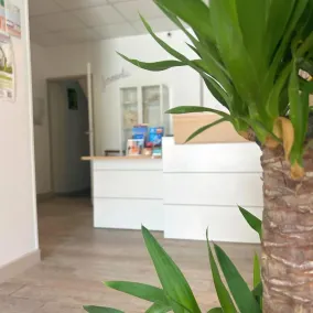 Hôtel Le Carnon - Réception