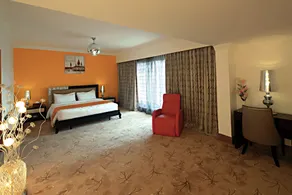 Palms Hotel - Room