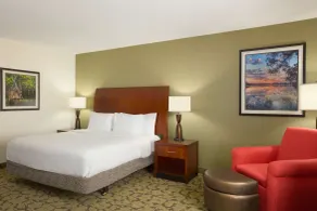 Hilton Garden Inn West Monroe - Chambre