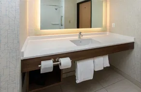 Holiday Inn Express Hotel & Suites Roseville - Galleria Area by IHG - Salle de bain