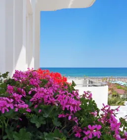 Atlantic Hotel & SPA - Vue de la chambre
