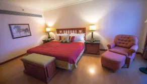 The Orchid Hotel Mumbai Vile Parle - Room