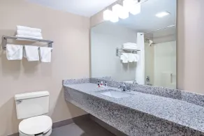Ramada by Wyndham Hendersonville - Salle de bain