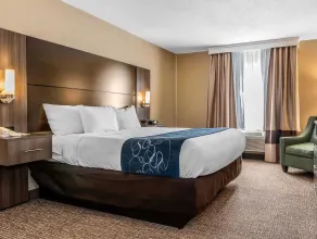 Comfort Suites Miamisburg - Dayton South - Room