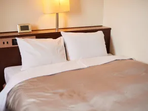 Tabist Hotel New Central - Chambre
