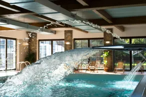 Wellness Hotel Holzberg - krytý relaxační bazén, dětský bazén, whirlpool, sauna, restaurace, bowling, venkovní hřiště, herna, pingpong, billiard - Pool