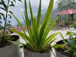KAT RESORT PVT.LTD - Wohnbereich