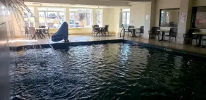 Comfort Suites Waco North - Near University Area - Piscine