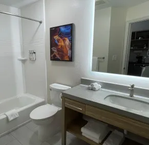 Candlewood Suites Tuscaloosa by IHG - Salle de bain