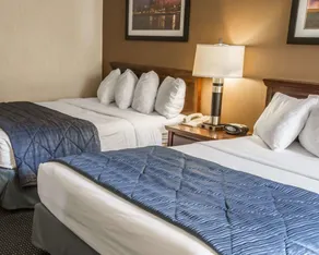 Quality Inn Schaumburg - Chicago near the Mall - Chambre