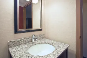 Holiday Inn Express and Suites Pittsburgh West Mifflin by IHG - Salle de bain