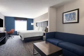 Holiday Inn Express St. Petersburg North / I-275 by IHG - Chambre
