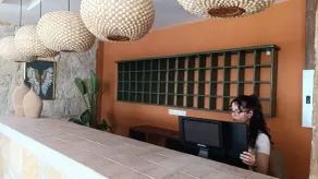 Mc Beyaz Saray Otel - Réception