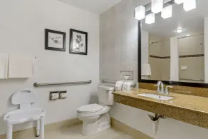 Country Inn & Suites by Radisson, Tampa Airport North, FL - Salle de bain