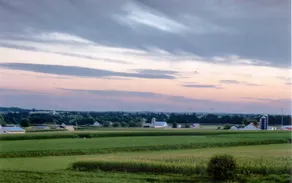 Harvest Drive Family Inn - Renovated Rooms - Vue de la chambre