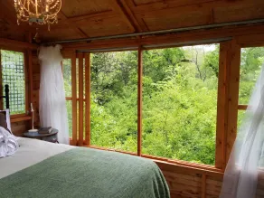 Savannah's Meadow - View from room