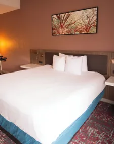 Hilton Garden Inn Hattiesburg - Chambre