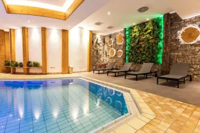 Waldhotel Luise - Piscine