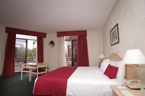 Quality Inn Aguascalientes - Vue de la chambre