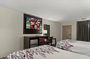 Red Roof Inn Baldwin - Room