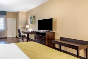 Best Western Plus Galveston Suites - Chambre