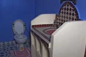 Riad Aicha & Camel Trekking - Baño