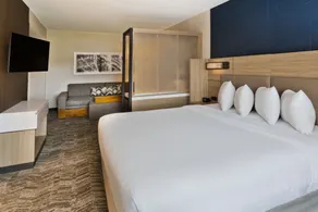 SpringHill Suites by Marriott Birmingham Colonnade - Chambre