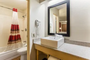 Red Roof Inn PLUS+ Nashville North - Goodlettsville - Salle de bain