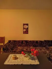 Cozy Little Flat in Karlovo - Wohnbereich
