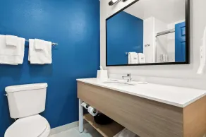 Wingate By Wyndham Lancaster / PA Dutch Country - Bathroom