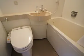 Green Rich Hotel Hiroshima Shinkansenguchi (Artificial hot spring Futamata Yunohana) - Bathroom