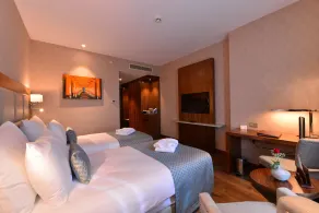 Clarion Hotel Istanbul Mahmutbey - Chambre