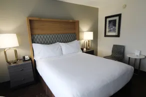 Holiday Inn O'Hare Area by IHG - Værelse