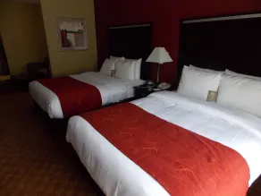 Comfort Suites Old Town Spring - Værelse