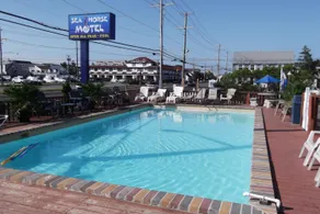 Sea Horse Motel - Basseng