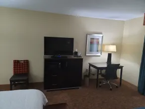 Hampton Inn Austin/Oak Hill - Room