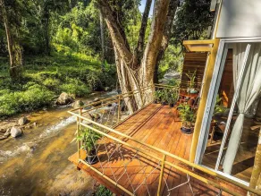 The ForRest Peace Forest แม่กำปอง - View from room