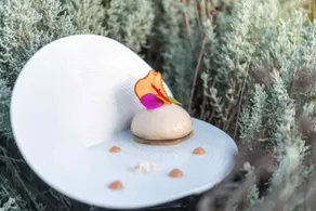 La Gree Des Landes - Eco-Hotel-Spa Yves Rocher - Restaurant