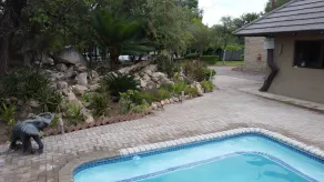 Balule Bushveld Safari Lodge - Basseng