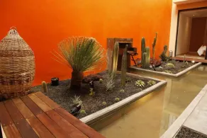 Coyoacan-inn Guesthouse - Spa