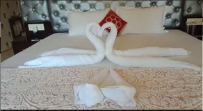Morni Hills Resort - Room