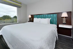Hampton Inn & Suites by HIlton Charlotte North I 485 - Vue de la chambre
