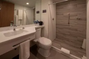 Microtel Inn & Suites by Wyndham San Luis Potosi - Salle de bain
