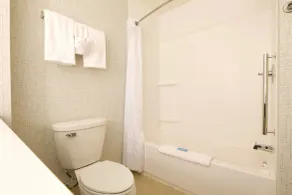 Holiday Inn Express Rochester Hills by IHG - Salle de bain
