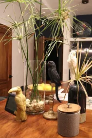 Blue Jungle Lodge - Reception