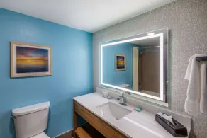 La Quinta by Wyndham New Braunfels - Salle de bain