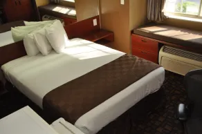 Microtel Inn & Suites by Wyndham Lithonia/Stone Mountain - Chambre