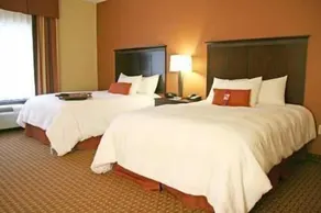 Hampton Inn & Suites Sevierville @ Stadium Drive - Chambre