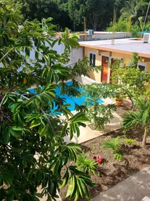 Casa Terracota - Pool